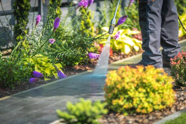 Best Parking Lot and Garage Cleaning  in Lake Carmel, NY